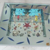 Read more about the article Сухой аквариум – стеклянный пол