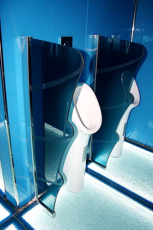 Сантехнические стеклянные перегородки, фото 12